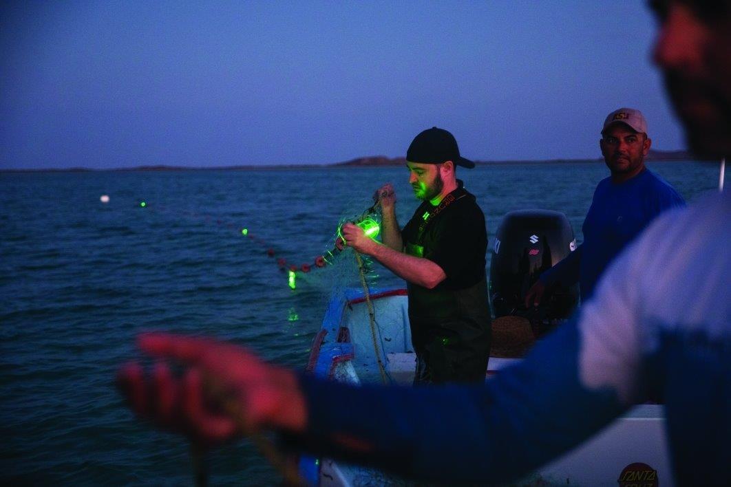How LED Lights are Reducing the Devastating Toll of Bycatch - Asia ...