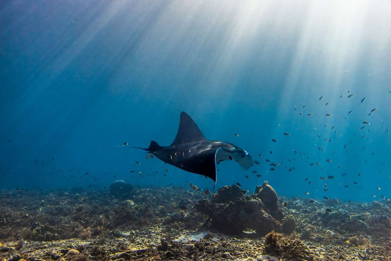  Across Southeast Asia, a growing luxury travel movement is perfectly enabled by yachts designed for adventure without compromise, discovers Gemma Harris