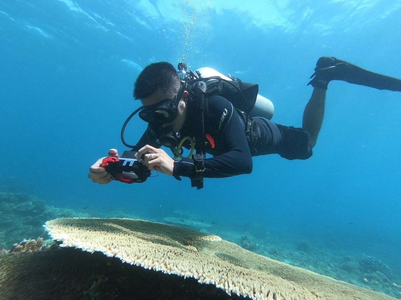 We speak with Chloe Harvey of Green Fins, which is on a mission to protect coral reefs through improving compliance among the tourism industry
