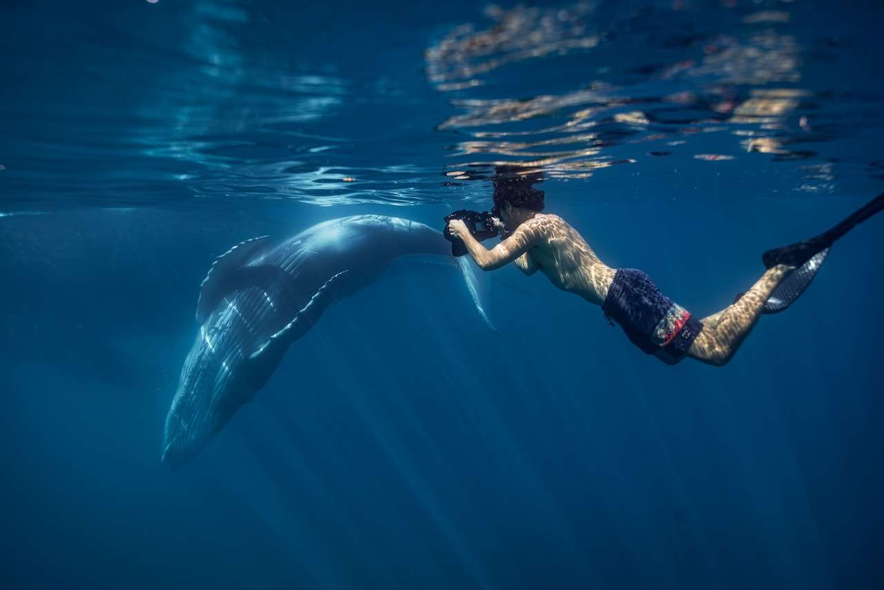 The World Economic Forum predicts by 2050 there'll be more plastic than fish in the ocean. Meet the people of Tonga determined to do something about that.