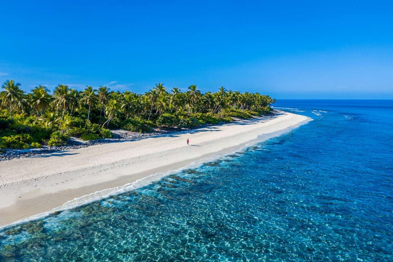 The World Economic Forum predicts by 2050 there'll be more plastic than fish in the ocean. Meet the people of Tonga determined to do something about that.
