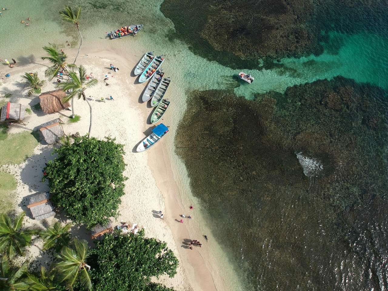 The World Economic Forum predicts by 2050 there'll be more plastic than fish in the ocean. Meet the people of Tonga determined to do something about that.